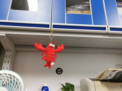 -海盗虾饭·剥好的小龙虾饭(上地辉煌店)