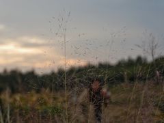 -艾溪湖湿地公园