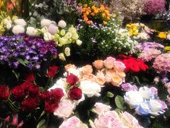 -爱尚幸福鲜花(上地实体店)