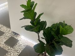 -漫古里Massage·Spa(文殊坊店)