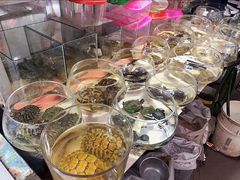 -万商花鸟市场