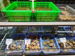 -阿毛饭店首店·宁波老字号(文化广场店)