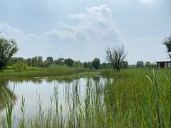 -野鸭湖国家湿地公园