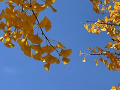 -青州市云门山风景区