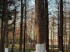 -西溪国家湿地公园