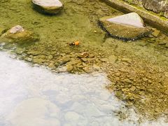 -宁波五龙潭景区