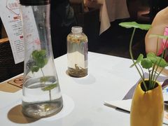 -野蔓果·山野菜(西湖景区·龙井茶田店)