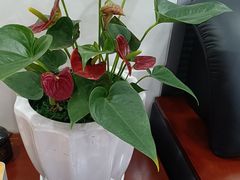 -中国光大银行(白云支行)