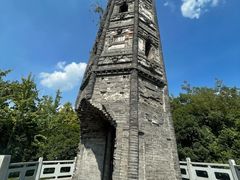 -上海佘山国家森林公园天马山园