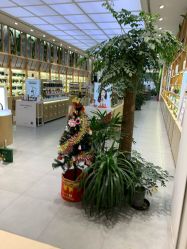 -悦诗风吟innisfree