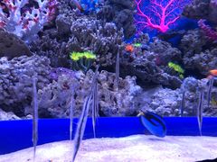 -成都浩海立方海洋公园