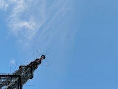 -惠山国家森林公园