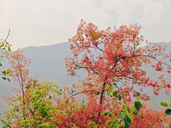 -周口店坡峰岭风景区