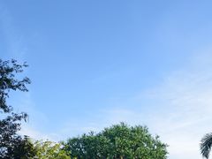 -奥兰多迪士尼动物王国乐园