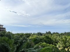 -海南清水湾莱佛士酒店