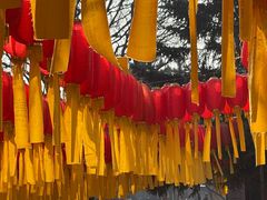 -护国法轮寺