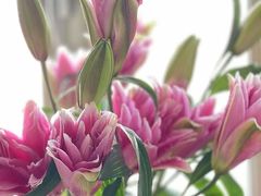 -醉人椒麻辣香锅(王府井喜悦店)