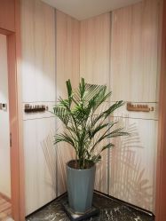 -奥本瑜伽·普拉提