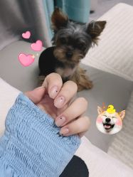 -艾薇美甲美睫