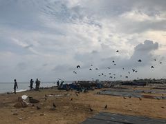 景点-尼甘布海鲜市场