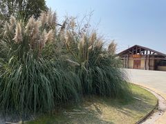 -盘龙城遗址博物院