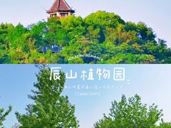 -上海辰山植物园