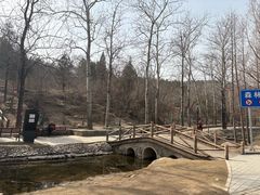 -白水寺森林公园