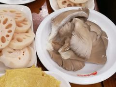 平菇-刘胖娃鱼庄·特色鱼火锅(白鹤路店)