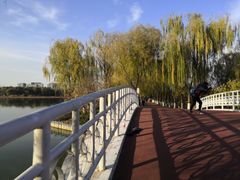 -大兴滨河森林公园