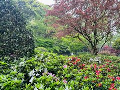 -杭州植物园