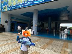 -黄金海岸水上乐园