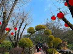-刘伯温故里景区百丈漈