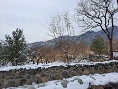 -阳台山自然风景区