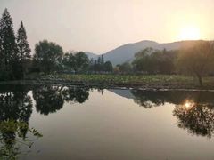 -长广溪湿地公园
