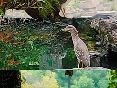 -台州府城(东湖)