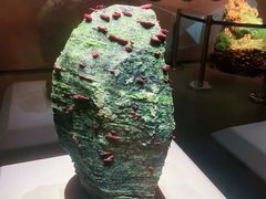 -湖南省地质博物馆