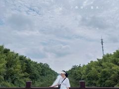 -黄海国家森林公园