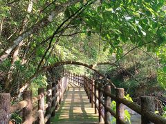 -广州市石门国家森林公园