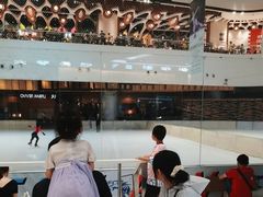 -TheRink大零溜冰场(IFS国金中心店)