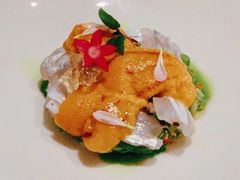 -蝶舍·MAISON PAPILLON