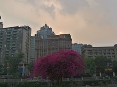 -星巴克(兰桂坊店)