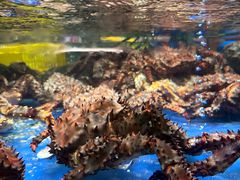 -79号渔船海鲜饭店(华强北店)