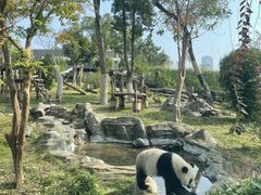 -武汉动物园