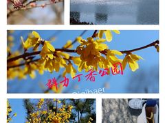 -群力丁香公园