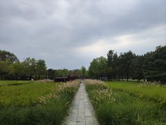 -北坞公园