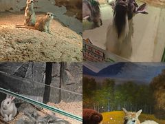 -正佳雨林生态植物园
