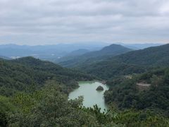 -广州白江湖森林公园