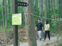 -青龙山国家森林公园