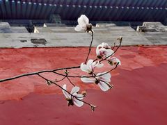 -东华门大街小区