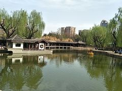 -团结湖公园